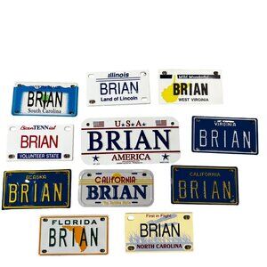 Set Of 11 Quirky Custom Mini License Plates For Brian's Adventures